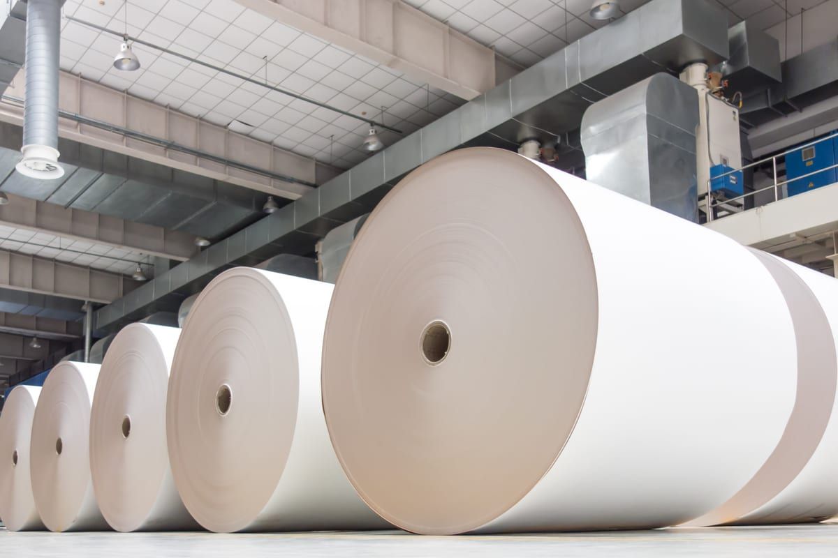 Rollos industriales de papel y celulosa en almacén de papelera